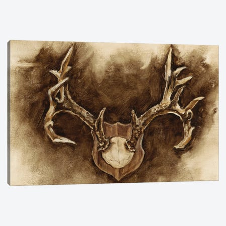 Rustic Antler Mount I Canvas Print #EHA375} by Ethan Harper Canvas Print