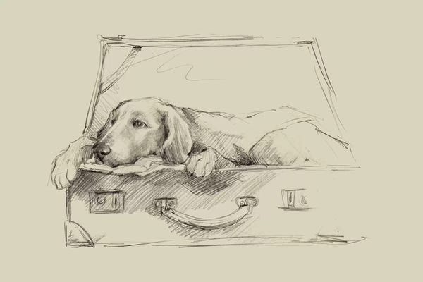 Animal Illustrations: Stowaway III by Ethan Harper