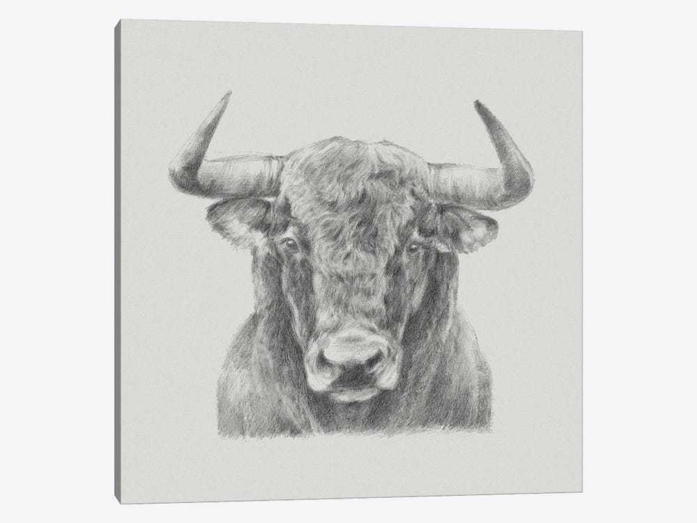 Black & White Bull by Ethan Harper 1-piece Canvas Art