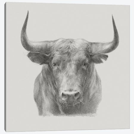 Black Bull Canvas Print #EHA395} by Ethan Harper Art Print