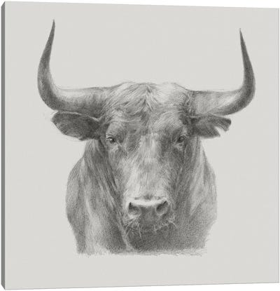 Black Bull Canvas Art Print - Animal Illustrations