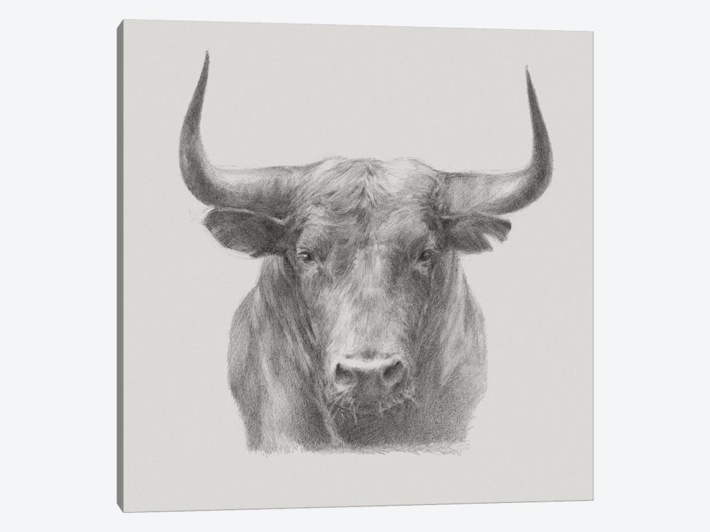 Black Bull by Ethan Harper 1-piece Canvas Art Print