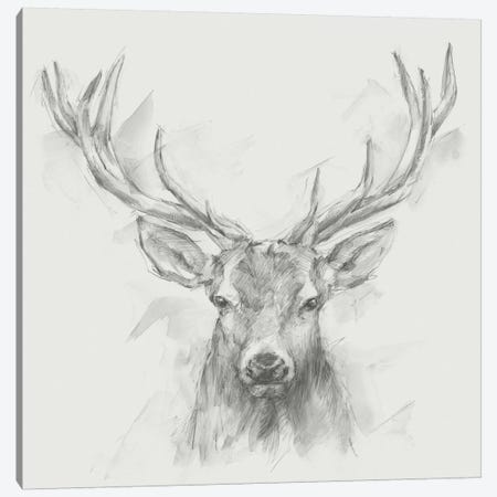 Contemporary Elk Sketch I Canvas Print #EHA398} by Ethan Harper Canvas Artwork
