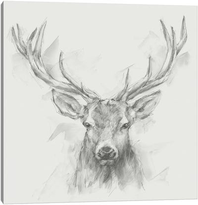 Contemporary Elk Sketch I Canvas Art Print - Animal Illustrations