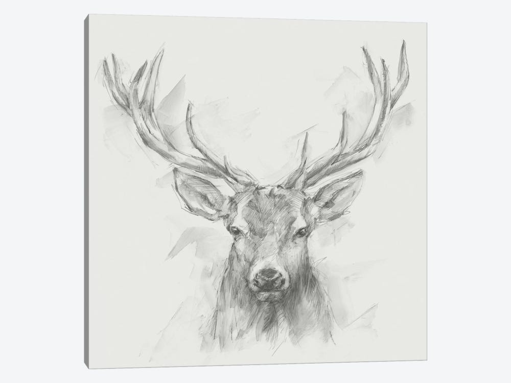 Contemporary Elk Sketch I by Ethan Harper 1-piece Canvas Art
