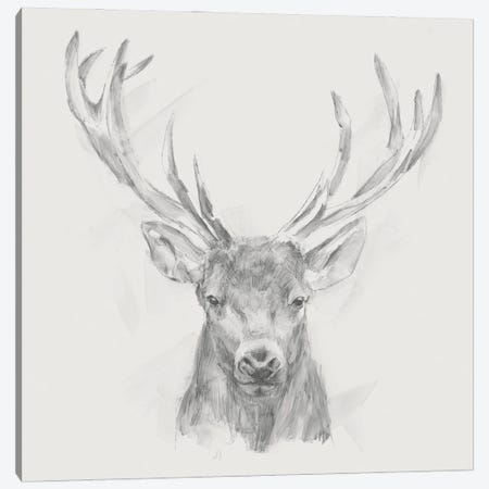 Contemporary Elk Sketch II Canvas Print #EHA399} by Ethan Harper Canvas Wall Art
