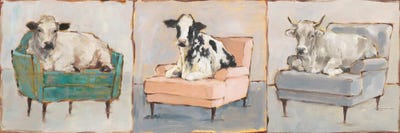 Cows