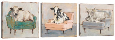 Moo-ving In Triptych Canvas Art Print - Animal Humor Art