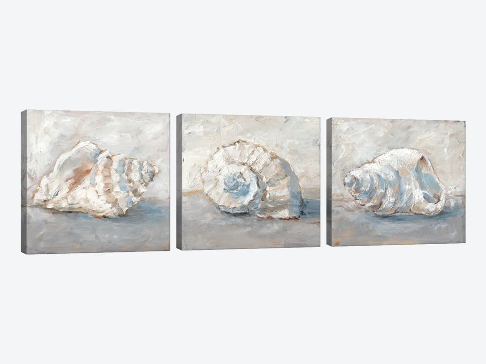 Blue Shell Study Triptych by Ethan Harper 3-piece Art Print