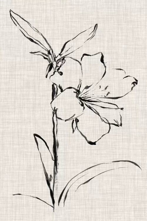 Floral Ink Study I