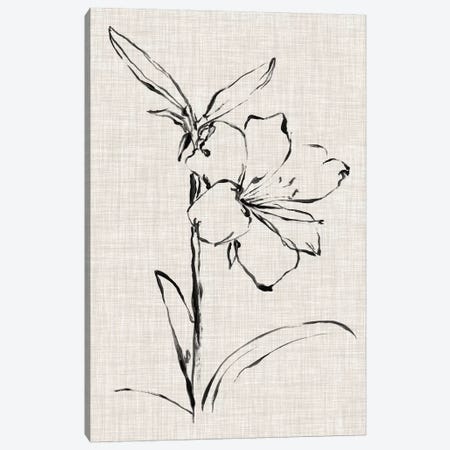 Floral Ink Study I Canvas Print #EHA412} by Ethan Harper Canvas Print
