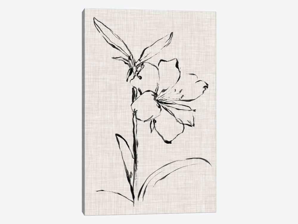 Floral Ink Study I by Ethan Harper 1-piece Canvas Art Print