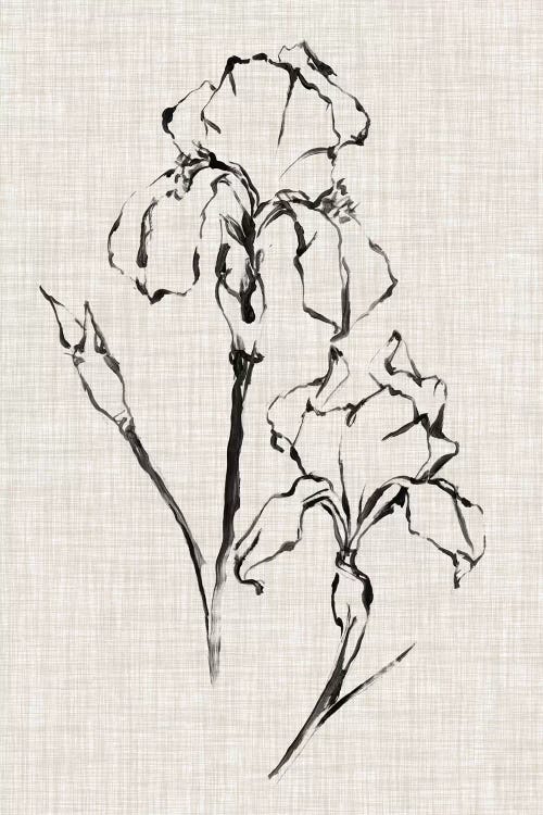 Floral Ink Study II