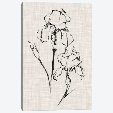 Floral Ink Study II Canvas Print #EHA413} by Ethan Harper Canvas Print