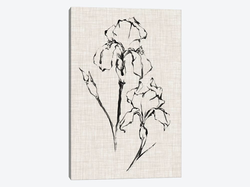 Floral Ink Study II by Ethan Harper 1-piece Canvas Artwork