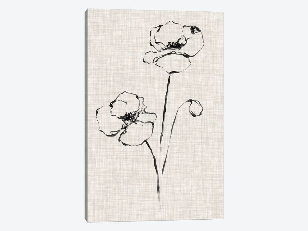 Floral Ink Study III by Ethan Harper 1-piece Canvas Art Print