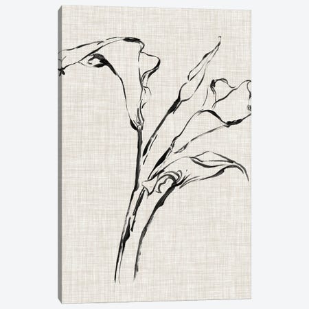 Floral Ink Study IV Canvas Print #EHA415} by Ethan Harper Canvas Art