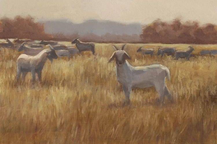 Grazing Goats I