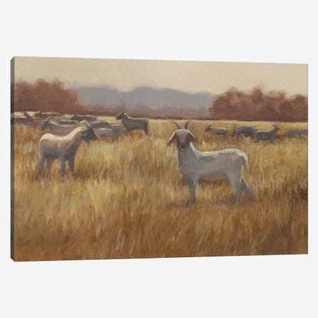 Grazing Goats I Canvas Print #EHA416} by Ethan Harper Canvas Artwork