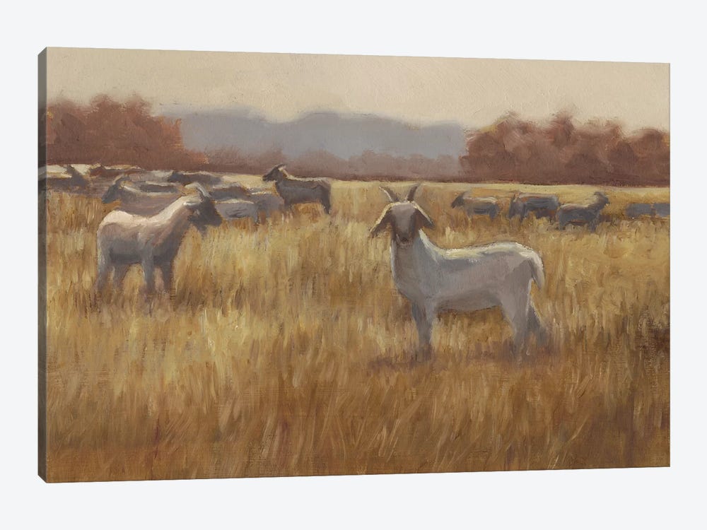 Grazing Goats I by Ethan Harper 1-piece Canvas Art Print