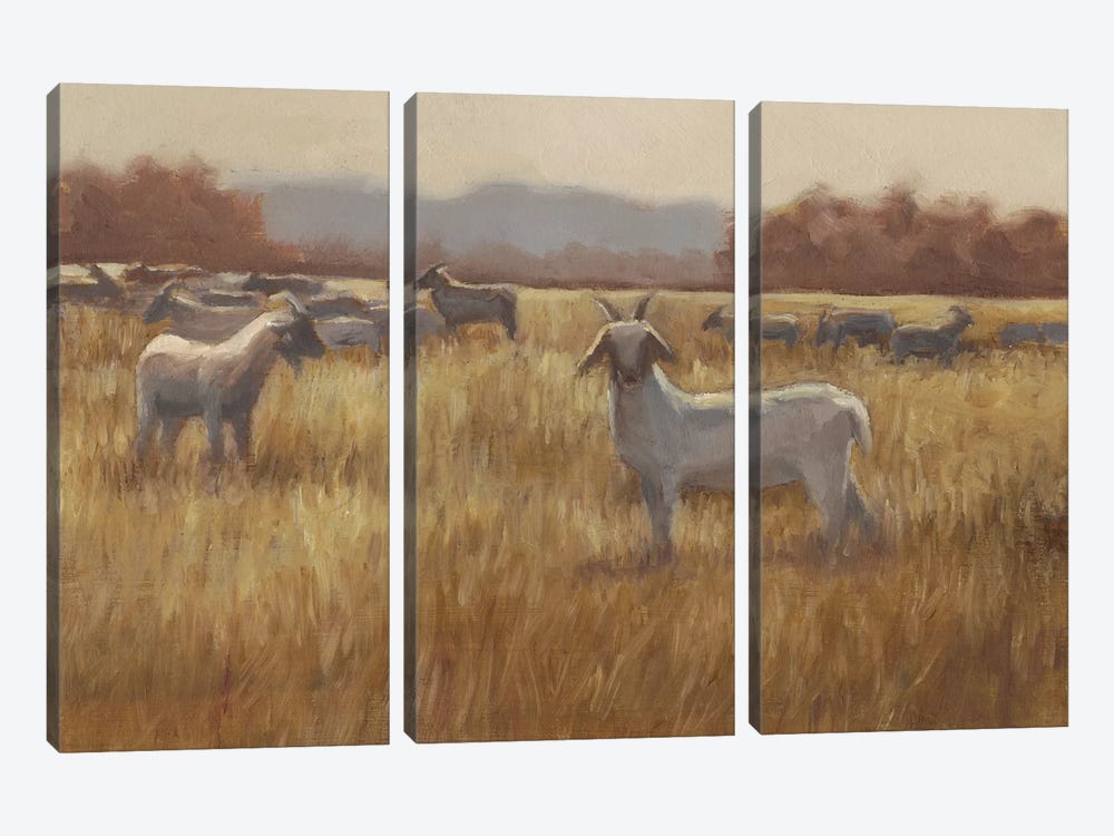 Grazing Goats I by Ethan Harper 3-piece Canvas Print