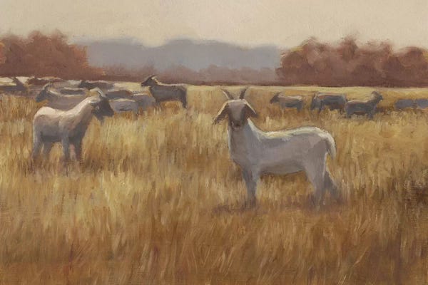 Goats: Grazing Goats I by Ethan Harper