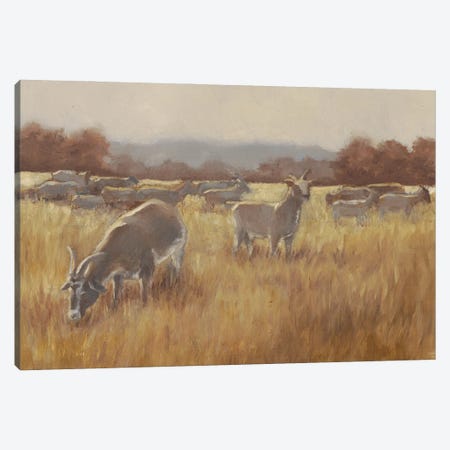 Grazing Goats II Canvas Print #EHA417} by Ethan Harper Canvas Artwork