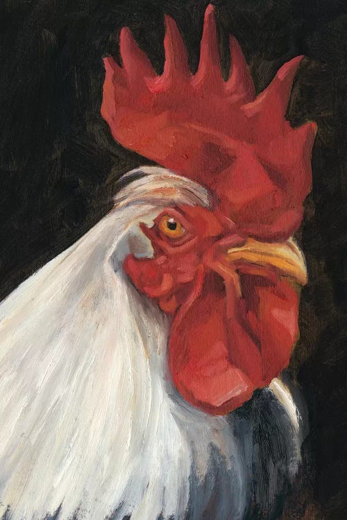 Rooster Portrait I