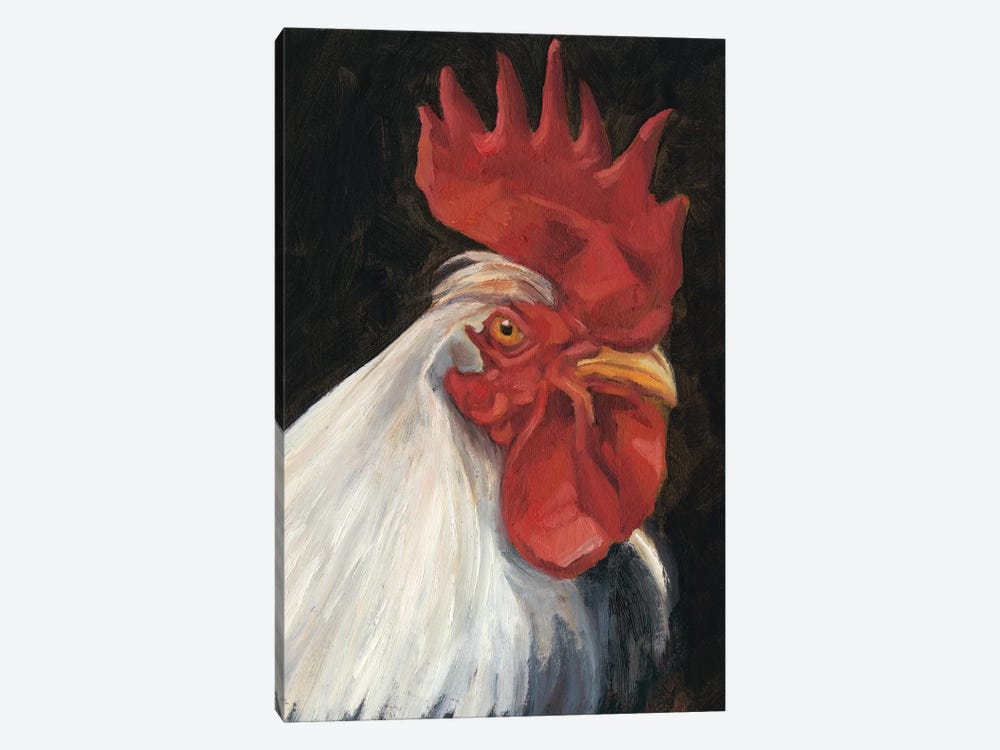 Rooster Portrait I by Ethan Harper 1-piece Canvas Artwork