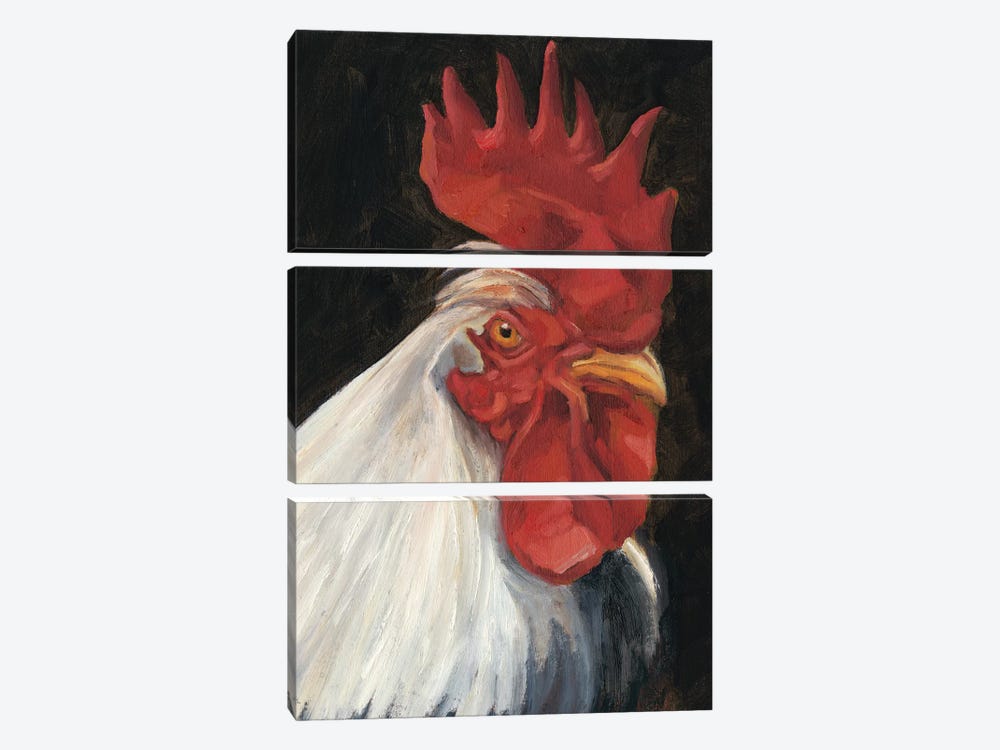 Rooster Portrait I by Ethan Harper 3-piece Canvas Wall Art