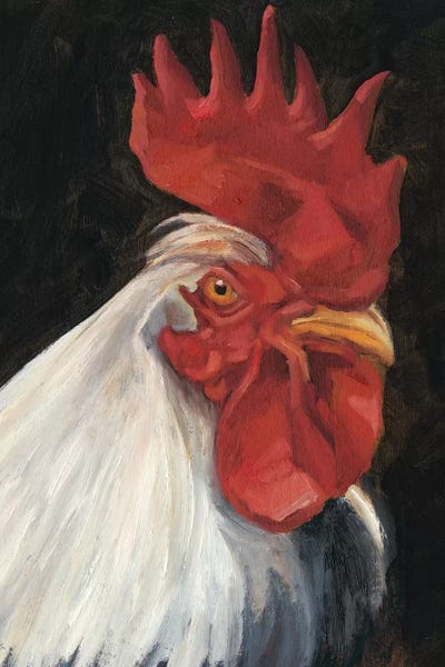 Chickens & Roosters: Rooster Portrait I by Ethan Harper