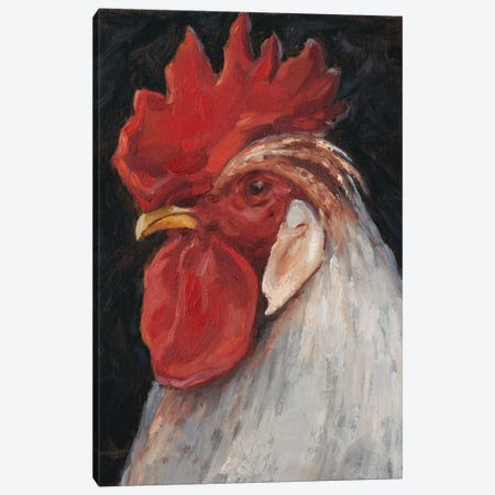 Rooster Portrait II Canvas Print #EHA436} by Ethan Harper Canvas Artwork
