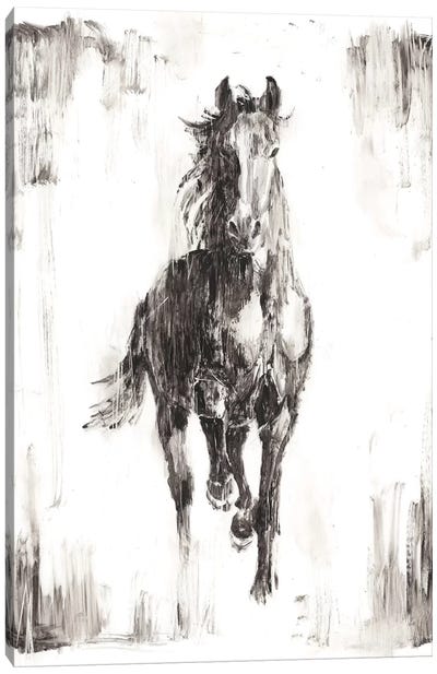 Rustic Black Stallion I Canvas Art Print - 3-Piece Animal Art