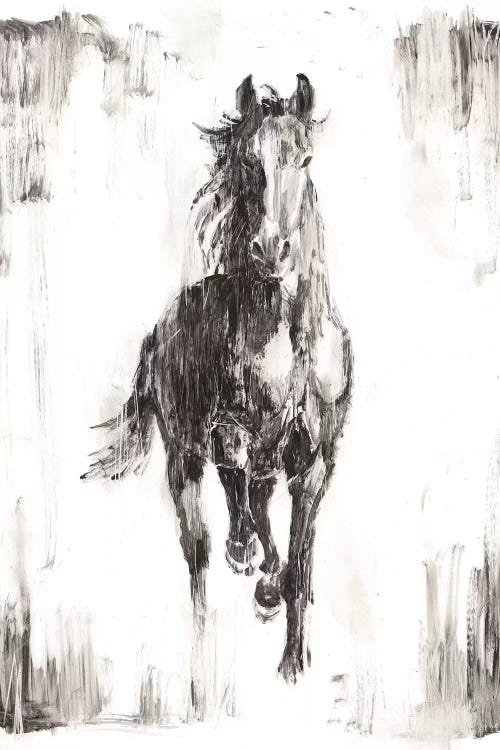 Rustic Black Stallion I