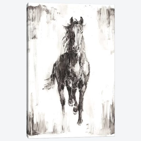 Rustic Black Stallion I Canvas Print #EHA437} by Ethan Harper Canvas Wall Art