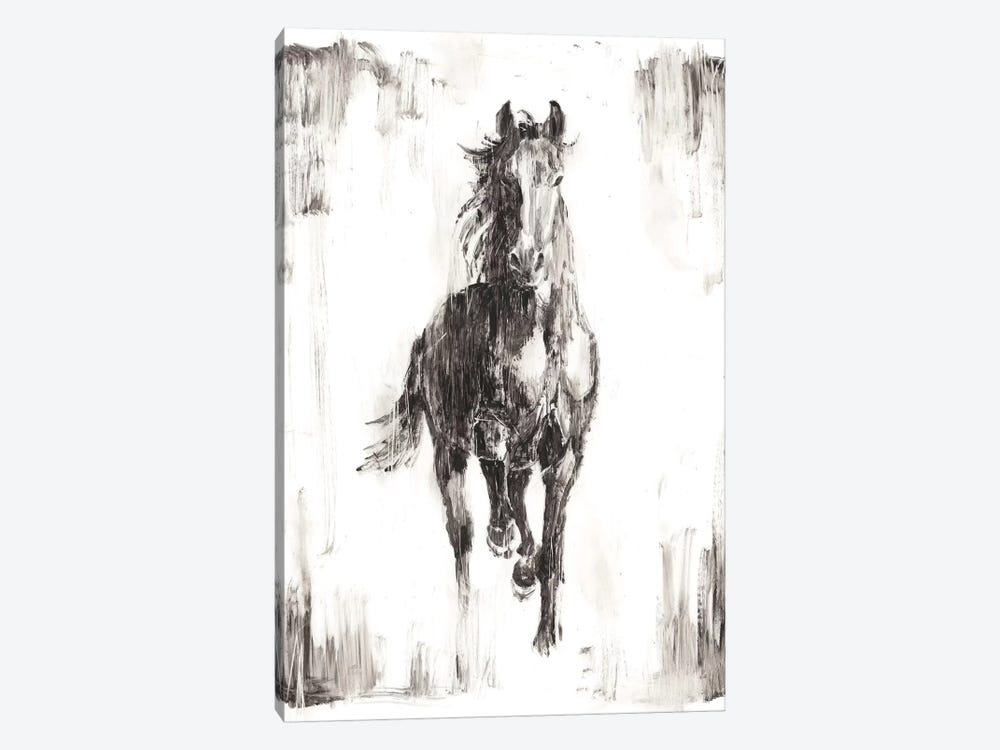 Rustic Black Stallion I by Ethan Harper 1-piece Canvas Art