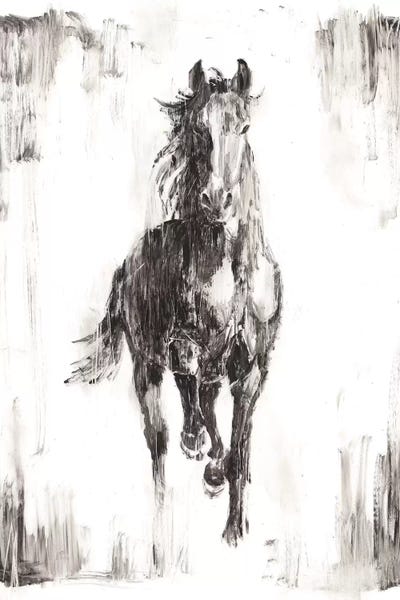 Ethan Harper: Rustic Black Stallion I by Ethan Harper