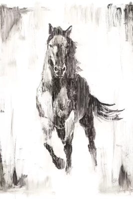 Rustic Black Stallion II Art Print by Ethan Harper | iCanvas