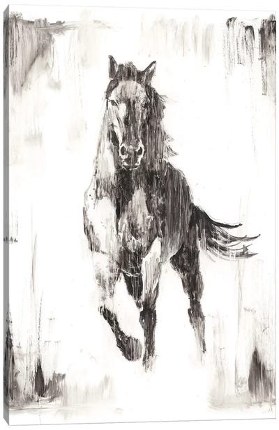 Rustic Black Stallion II Canvas Art Print - Farm Animal Art