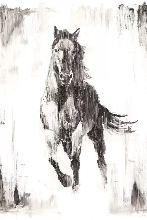 Rustic Black Stallion II