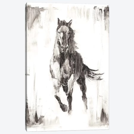 Rustic Black Stallion II Canvas Print #EHA438} by Ethan Harper Art Print