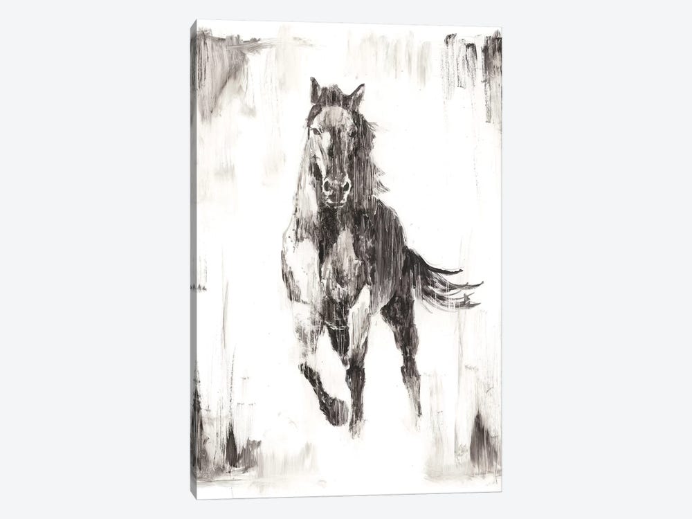 Rustic Black Stallion II by Ethan Harper 1-piece Canvas Print