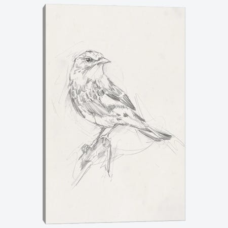 Avian Study  I Canvas Print #EHA461} by Ethan Harper Canvas Artwork