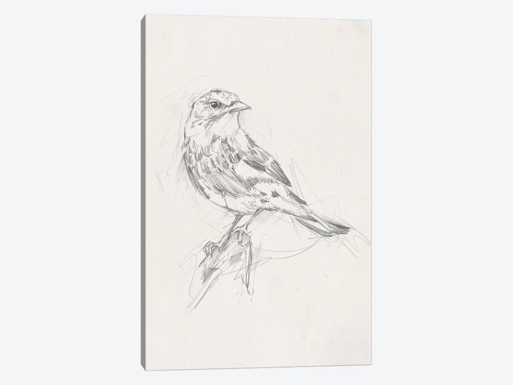 Avian Study  I 1-piece Art Print
