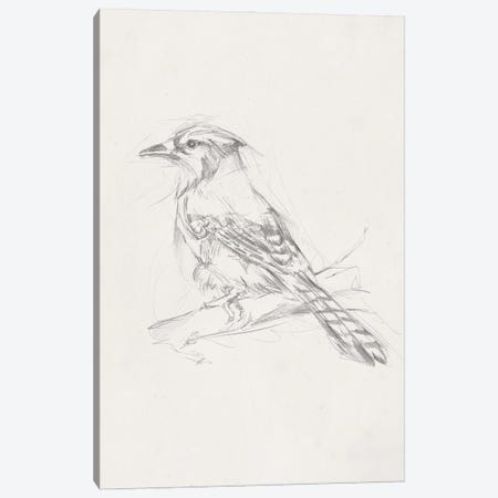 Avian Study  IV Canvas Print #EHA464} by Ethan Harper Art Print