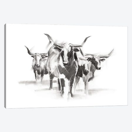 Contemporary Cattle I Canvas Print #EHA475} by Ethan Harper Canvas Artwork