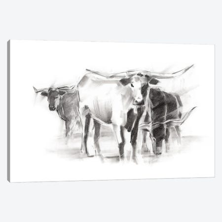 Contemporary Cattle II Canvas Print #EHA476} by Ethan Harper Canvas Wall Art