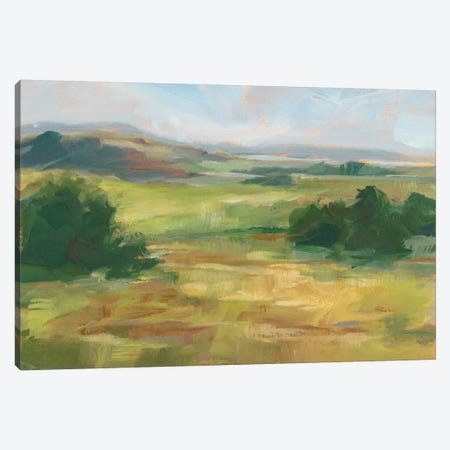 Green Valley I Canvas Print #EHA485} by Ethan Harper Art Print