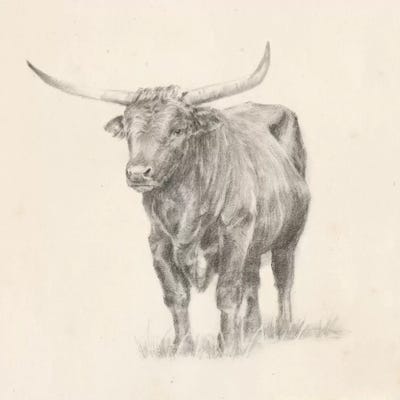 Longhorn Steer Sketch I by Ethan Harper art print