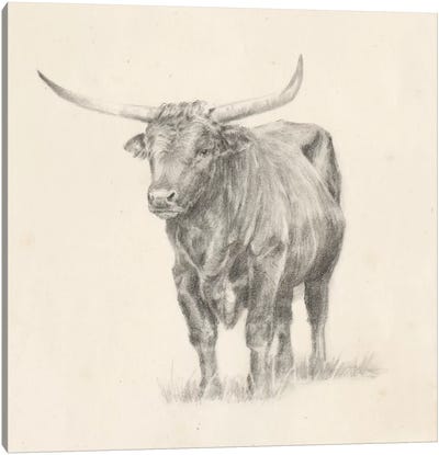 Longhorn Steer Sketch I Canvas Art Print - American Décor